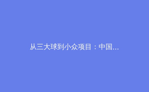 从三大球到小众项目：中国体育的多元发展与全民参与新趋势 - 4